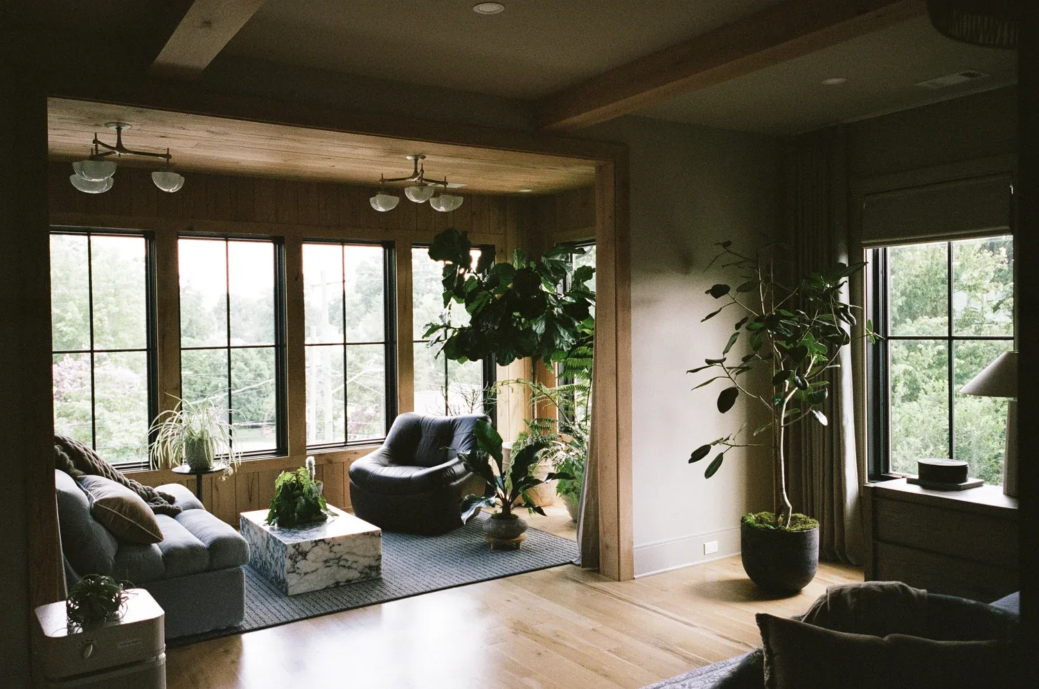 Sunlit Nashville living room filled with plants, designed by Plant Savvy