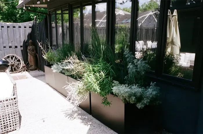 Exterior container plantscaping at East Iris Studios