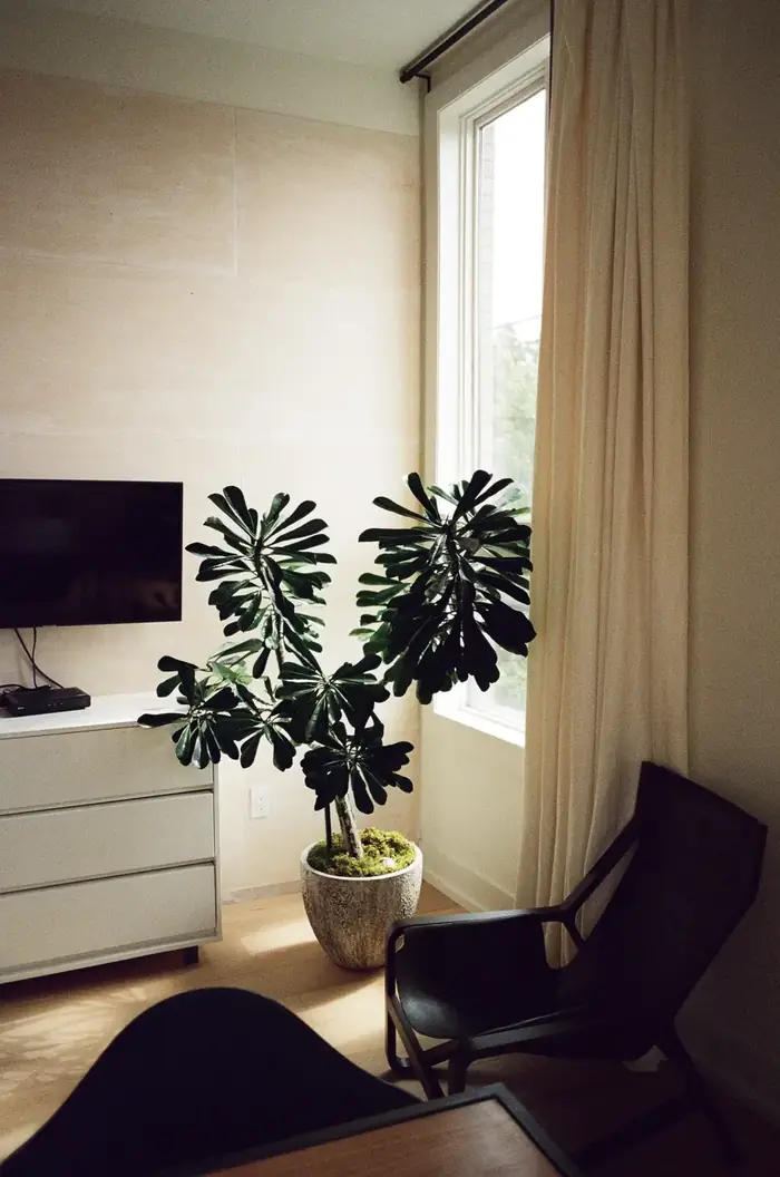 Office plant design at Sandbox Entertainment